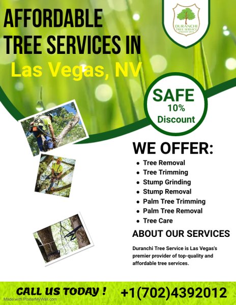 Affordable Tree Services in Las Vegas, Nevada