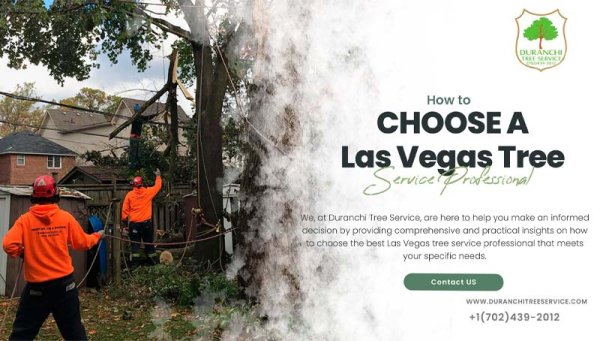 How-to-Choose-a-Las-Vegas-Tree-Service-Professional.jpg