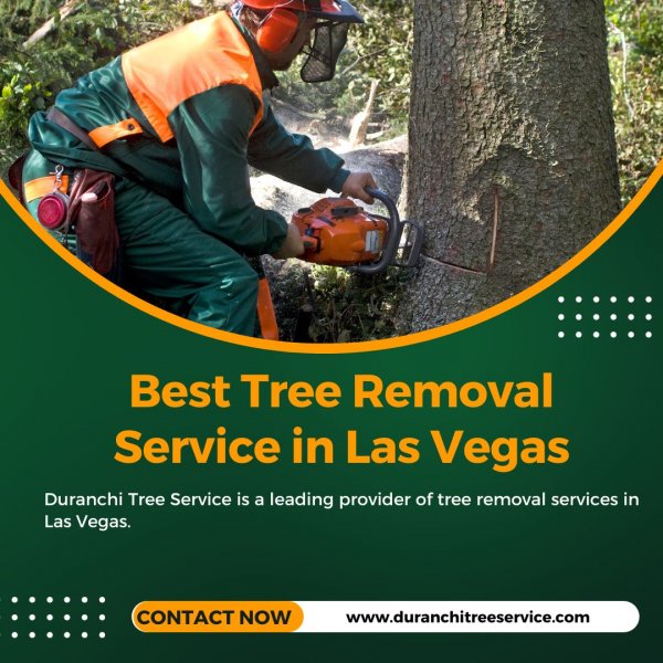 Best Tree Removal Service in Las Vegas