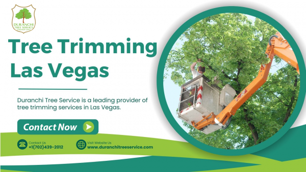 Best Tree Trimming Service in Las Vegas